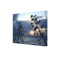 Maltese Sunset Gallery Wrapped Canvas