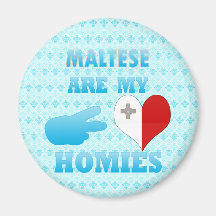 Malteses are my Homies Refrigerator Magnet