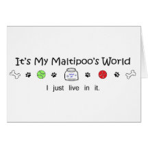 Maltipoo Greeting Cards
