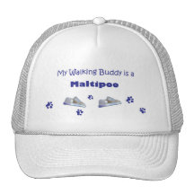 Maltipoo Hats