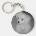 Maltipoo Keychain