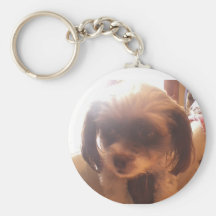 Maltipoo Keychain