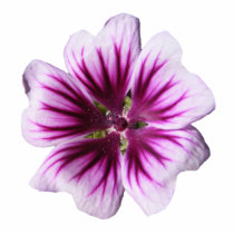 Malva flower ~ acrylic photo cutout