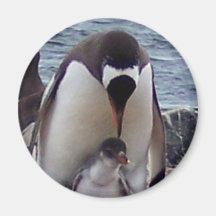 Mama and Baby Penguin Fridge Magnet