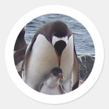 Mama and Baby Penguin Stickers