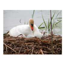 Mama and Me (2) Postcard