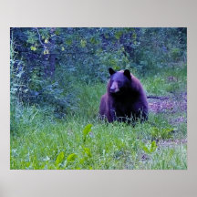 Mama Bear Print