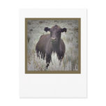 Mama Spirit postcards