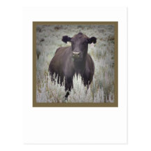 Mama Spirit Postcards