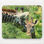 mamma and baby giraffe mousepad