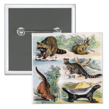 Mammals:  five small illustrations button