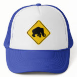 Mammoth Crossing Trucker Hats