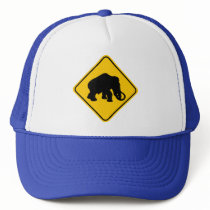 Mammoth Crossing Trucker Hats