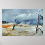 Mammoth Hot Springs Print
