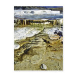 Mammoth Hot Springs - Yellowstone National Park Post Card