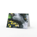 Mammoth Mountain Falls cards