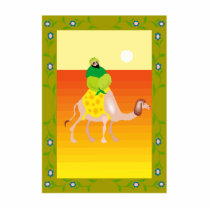 Man on camel