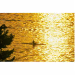 Man Rowing Photo Cutout