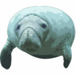 Manatee Cutout Magnet/Sculpture photo sculptures