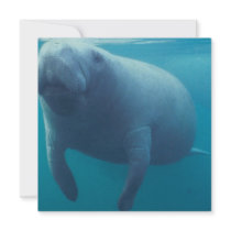 Manatee Invitation