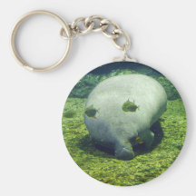 Manatee Key Chains