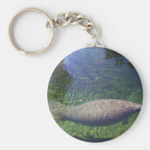 Manatee Keychains