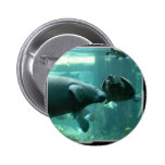 manatee N turtle_10x10 Button