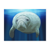 Manatee Postcards