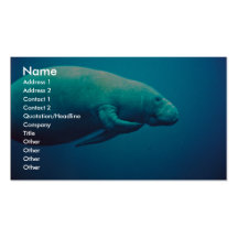 Manatee Scratching Business Card