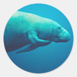 Manatee Scratching Stickers