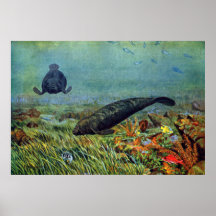 Manatees and Colourful Fish Poster