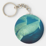 Manatees Surfacing for Air Keychains