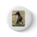 Manchester Terrier puppy 9B080D-09 buttons