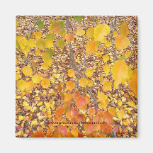 Manchurian Pear Branch - Magnet
