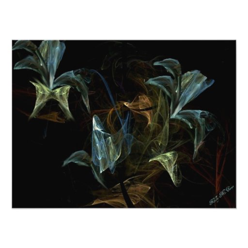 Mandala Orchid Plant Flower Photographic Print
