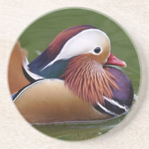 Mandarin Coaster