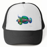 Mandarin Dragonet Fish hats