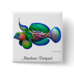 Mandarin Dragonet Pin buttons