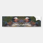 Mandarin Duck Bumper Stickers