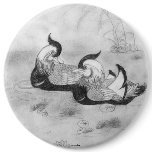 Mandarin Duck Button