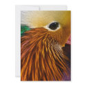 Mandarin Duck Invitation