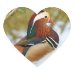 Mandarin Duck Heart Stickers