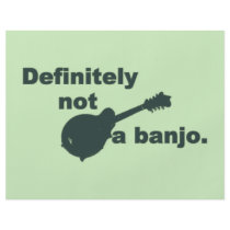 Mandolin -- Definitely Not A Banjo Full Color Flyer