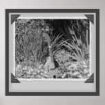 Mandolin Iris Garden Black And White Print