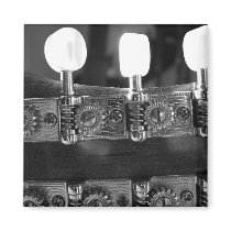 Mandolin Tuning Pegs Fridge Magnets