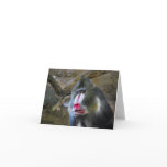 Mandril Note Card