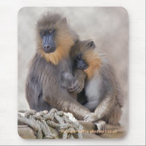 Mandrill and Young Mousemat mousepads
