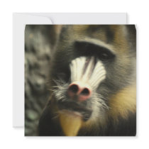 Mandrill Face Invitations