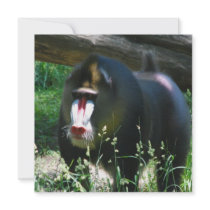 Mandrill Invitations