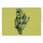 Mandrill Picture Gifts cards